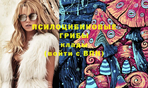 дмт Тында