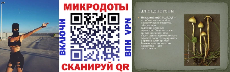 Псилоцибиновые грибы мицелий  Сочи 